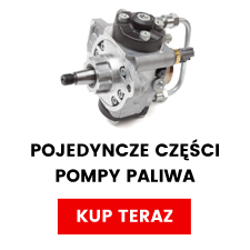 Pojedyncze części pompy paliwa