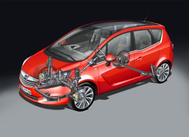 Belka skrętna - zobacz co musisz o niej wiedzieć