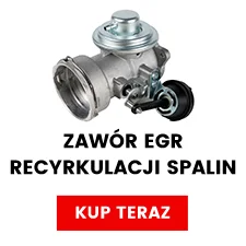 Zawór EGR